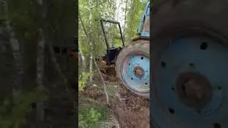 крокодил корчеватель