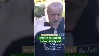 Pomysły na cukinie kabaczki i dynie ? #preppers #jedzenie