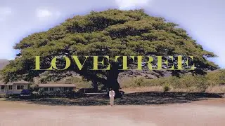준재(JUNJE) Digital Single ‘Love Tree’ MV teaser