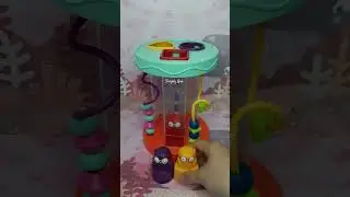 🔺️🦉🟨Shape sorter with funny sound effect
