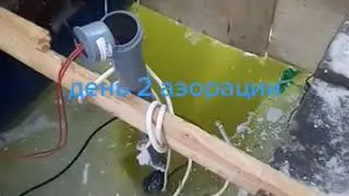 17 декабря 2020 г.