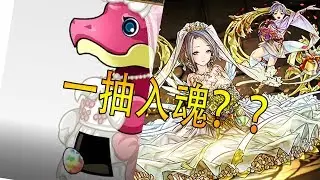 一抽中花嫁天平？？？【PAD】花嫁pool係正！ ジューンブライドガチャ