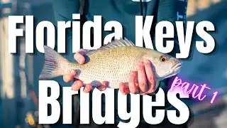 Bridge Fishing in the Florida Keys  - We Caught Our Limit - Part 1