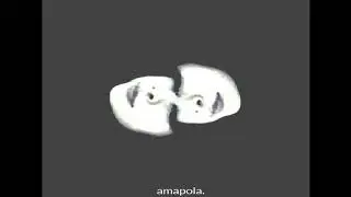 Willie el Opio - Amapola