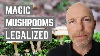 Can I Legally Do Psychedelics in Colorado? Proposition 122 Explained