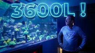 Allons voir, un récif de 3000 litres