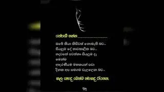 hadena wadan | new status sinhala wadan 2023 | sara wadan | Whatsapp status wadan