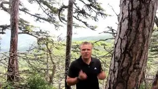 Долгосрочная торговля