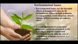 Environmental: Issues and Alternative Solutions