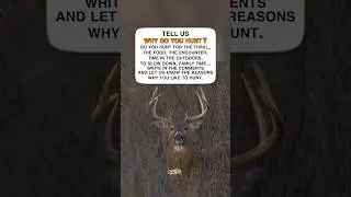 Why Do You Hunt?
