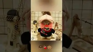Разноцветные #уткиизтт #уткалалафанфан