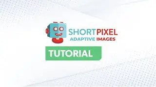 ShortPixel Tutorial 🤳 Setting Up Image Optimization for Beginner Bloggers (Blog Speed Tips!)