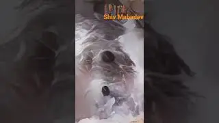 Har Har Shambhu 