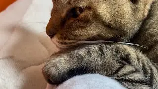 冬は腕枕