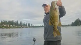 7 Pounds 2 Fish - Back 2 Back Casts - Smallmouth Bass Fishing Washington State