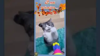 Скучно? Значит, я уже иду к Вам!