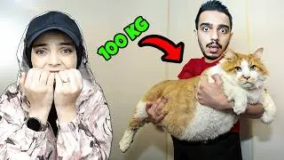 DÜNYANIN EN ŞİŞMAN KEDİSİNİ ZAYIFLATTIK !! 😱