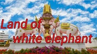 Land of white elephant
