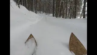 Зимняя лесная сказка. Логово лешего.
