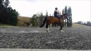 Bareback and Bridleless Tackless riding