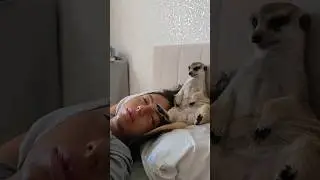 Ещё одно наше утро🥰