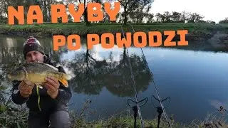 Są tu jakieś ryby?? czy wszystkie porwała powódź?? szybki wypad nad rzeke olze