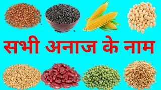सभी अनाज के नाम|| अनाज के नाम हिंदी और इंग्लिश|| अनाज|Grain name in English mein|| grain|| meaning