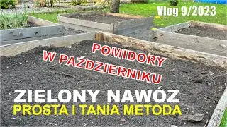 Vlog 9/2023 Przygotowanie grządek na kolejny sezon, ogławianie pomidorów w październiku
