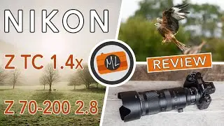 Nikon Z 70-200mm 2.8 and TC 1.4x Review (Birds in Flight and more!)