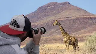 Back to Wildlife Photography... Mostly