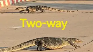 Two-way Water Monitor @firsttimebyncn