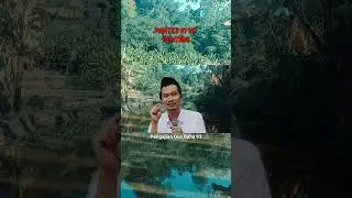 GUS BAHA // PANTES KI YO PENTING