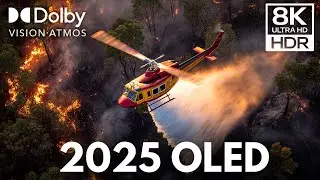 OLED DEMO 2025: INSANE 8K HDR 120 FPS Dolby Atmos!