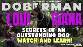 Louisiana doberman: Secrets of an Exceptional Dog: Watch and Learn!