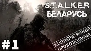Кооперативный мод S.T.A.L.K.E.R.: Беларусь #1 ● Смотрим на бюджетный TARKOV [COOP]