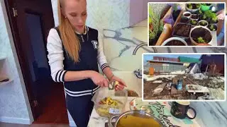 VLOG: Первый субботник / Навожу порядок на веранде / Пора пикировать лобелию / Готовлю Ужин