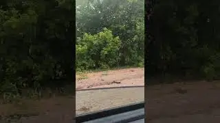 авто звук по кайфу #автозвук