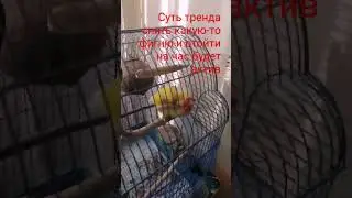 проверим #кавасаки #memes #smartphone #funny