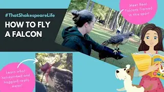 I just tried the sport of Falconry with a Red Tailed Hawk