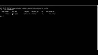 SQL query to get all details for Oracle 19c Database from v$database