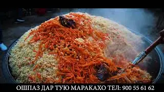 ШЕФПОВУРИ БЕХТАРИН  ДАР ШАХРИ ТУРСУНЗОДА ДЕХАИ ЧОВИДОН 2024.