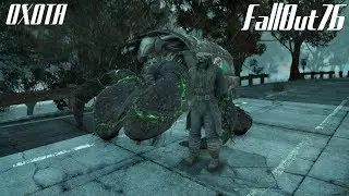 FallOut 76 ОХОТА #2 СВЕТЯЩИЙСЯ КРАБ-ОТШЕЛЬНИК