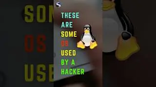 Top-5 Operating System For Hacking.