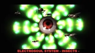 Electrosoul System 