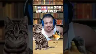 А по-русски можно? Часть 14
