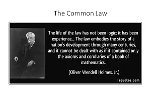 Lab #2 of BUL3130: The Common Law