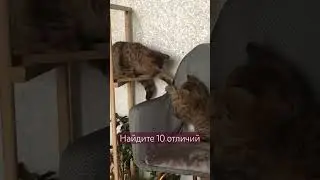 Найдите 10 отличий
