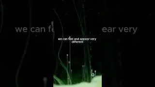 Human Design Reflectors and Fluidity of Identity #humandesignreflector