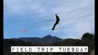 ZIPLINING ADVENTURES AND WILDLIFE MUSEUMS // Field Trip Tuesday