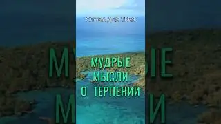 Мудрые Мысли о Терпении | Цитаты | Мудрые Слова #мудрость #цитаты #слова #вдохновение